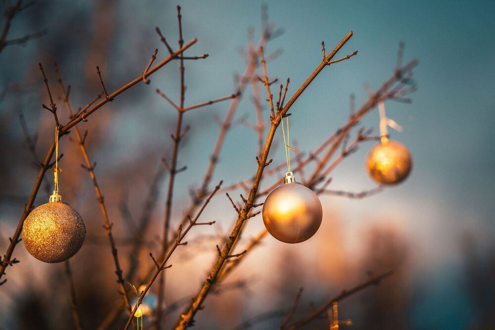 Photo 2023937