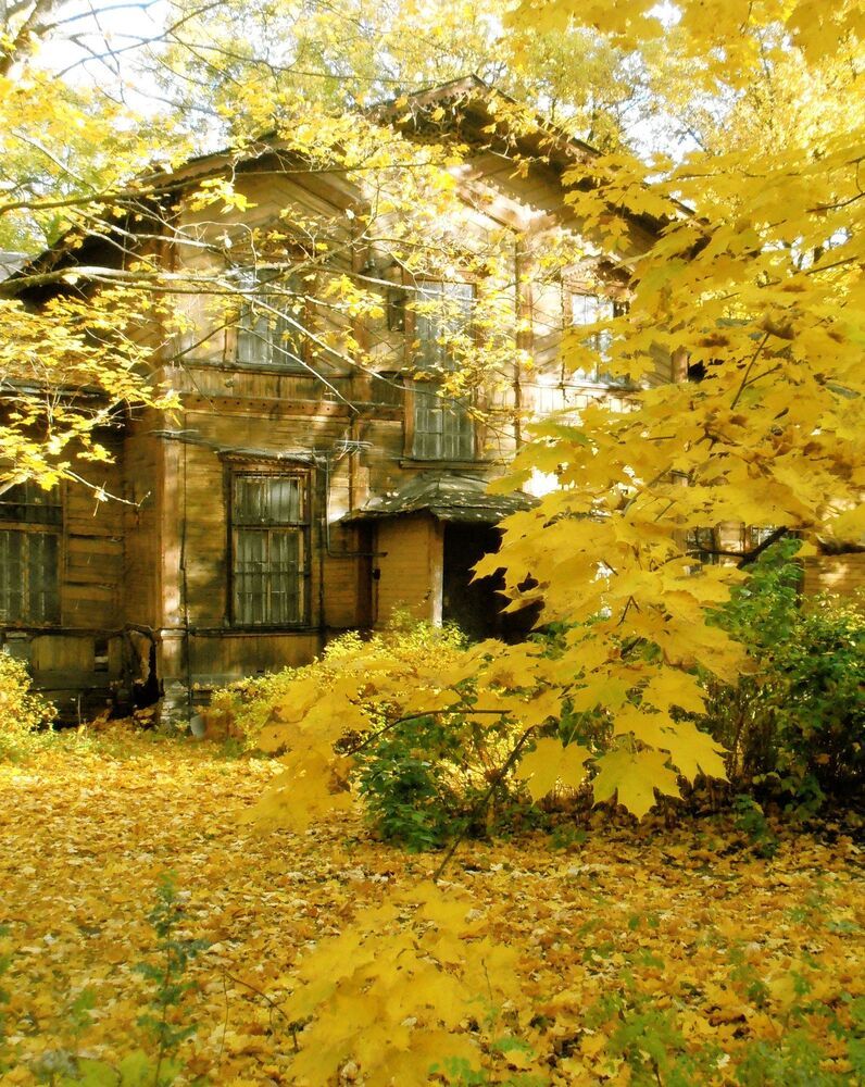 Незримое время бессмертно