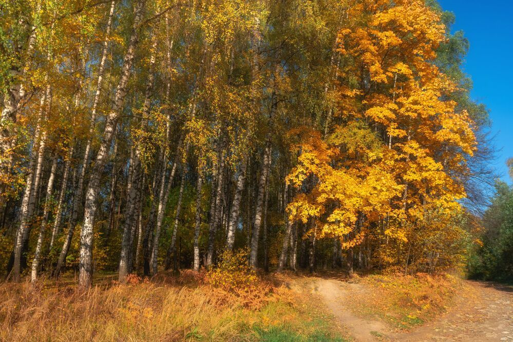 Осень