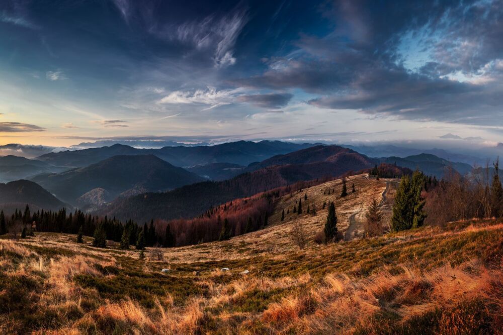 A couple selected images from my portfolio
