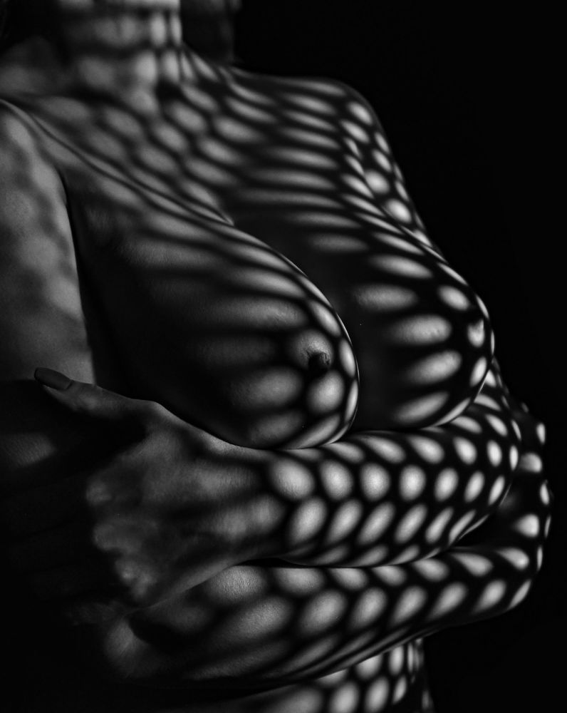 Photo 2024886