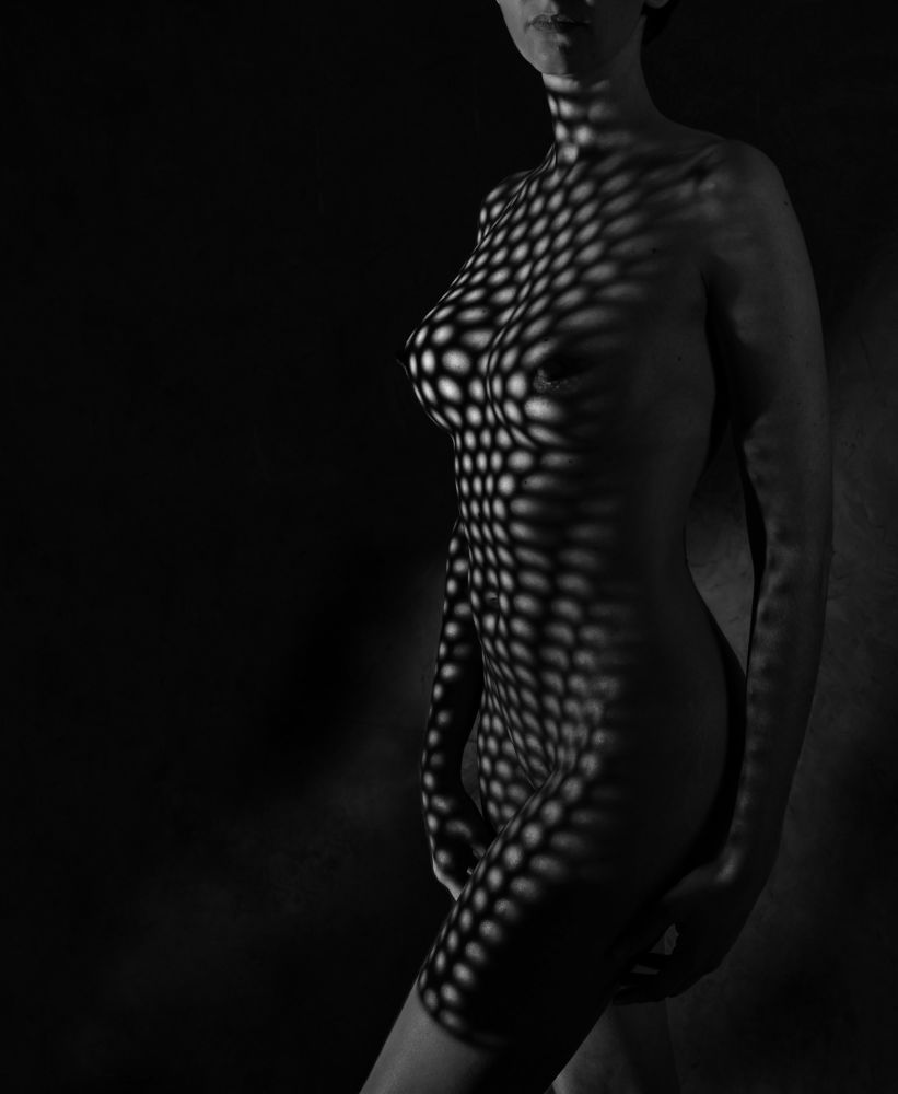 Photo 2024887