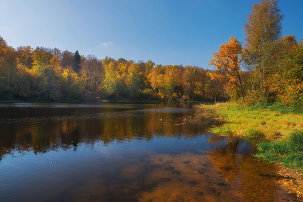 Осень. Речка Синичка.
