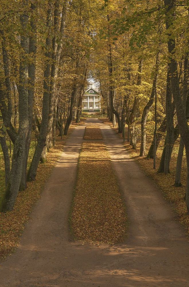 Петровское