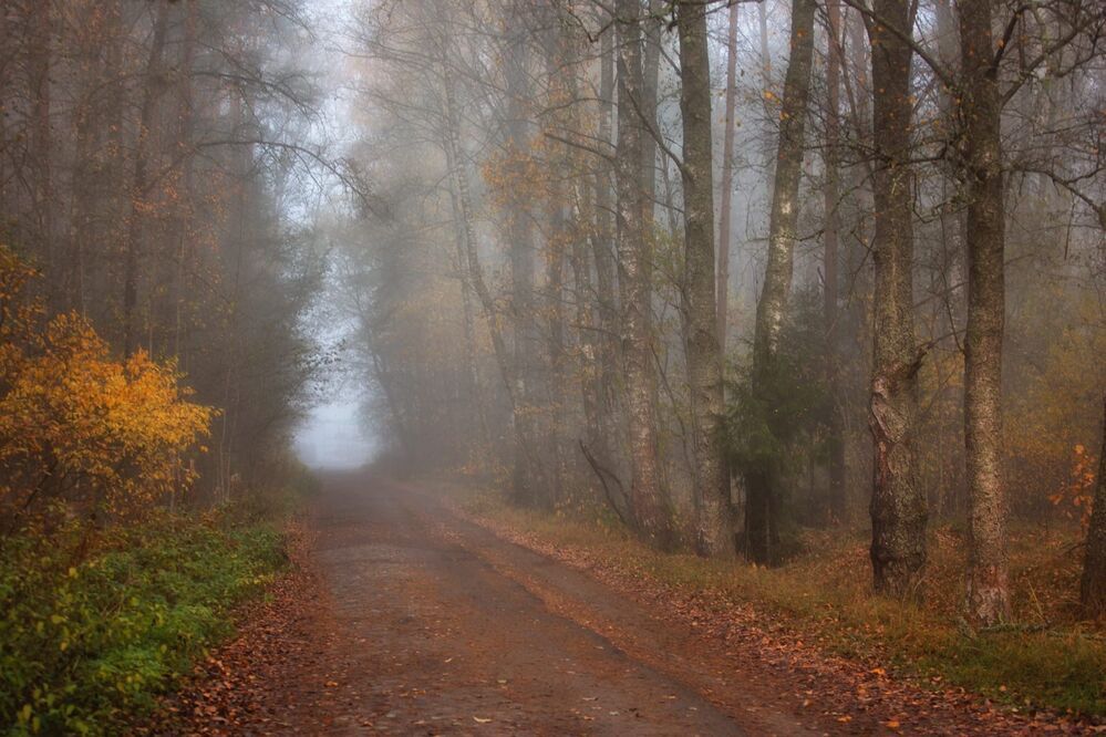 Photo 2025499