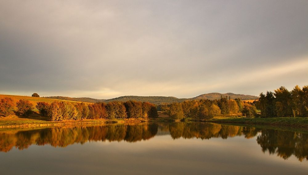 Morning on the pond