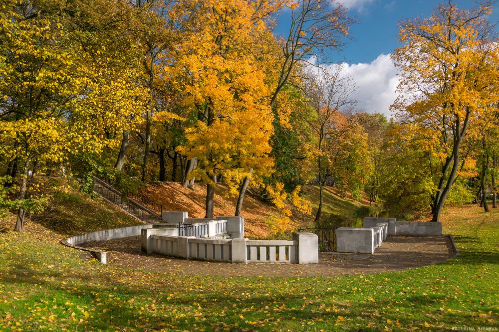 Осенних красок волшебство