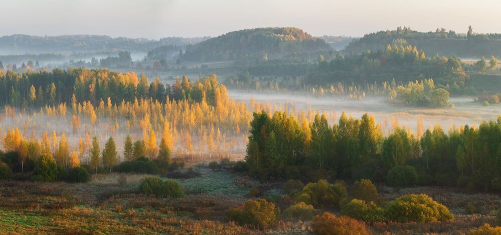 Осень