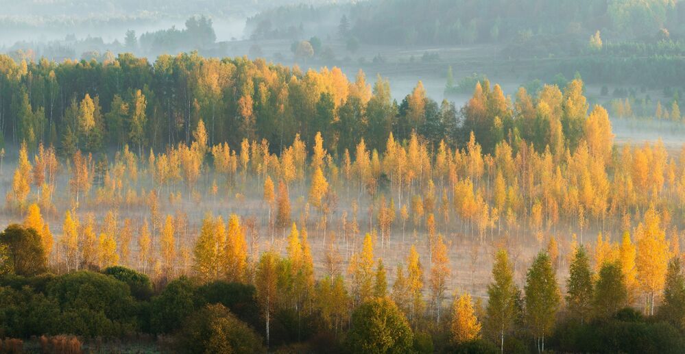 Осень
