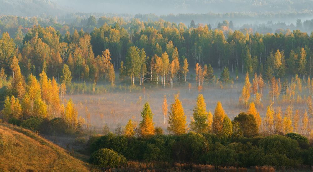 Осень