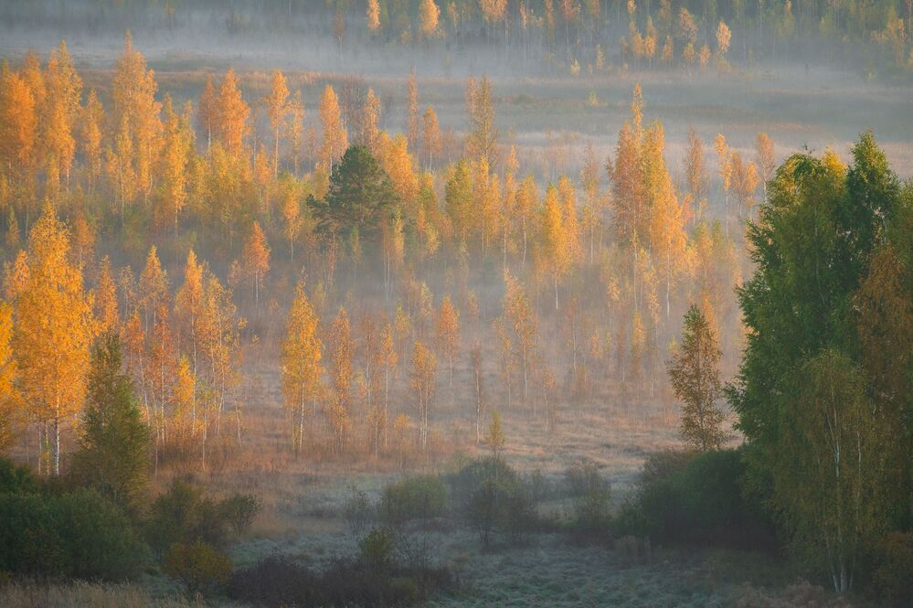 Осень