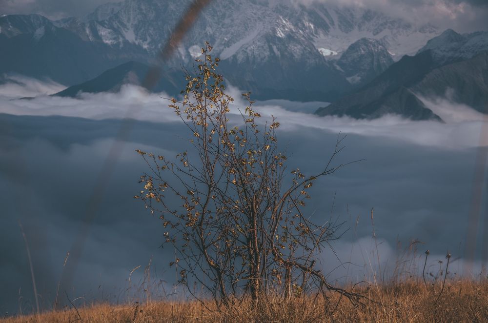 Природа Северной Осетии.