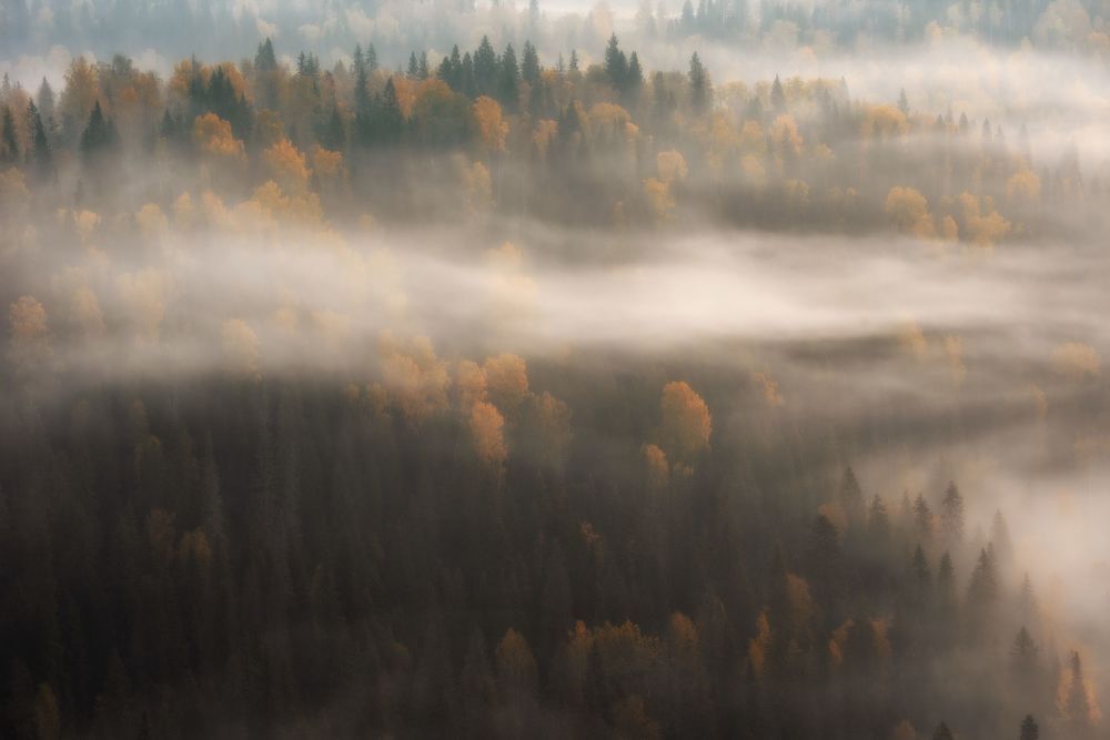 Photo 2027634
