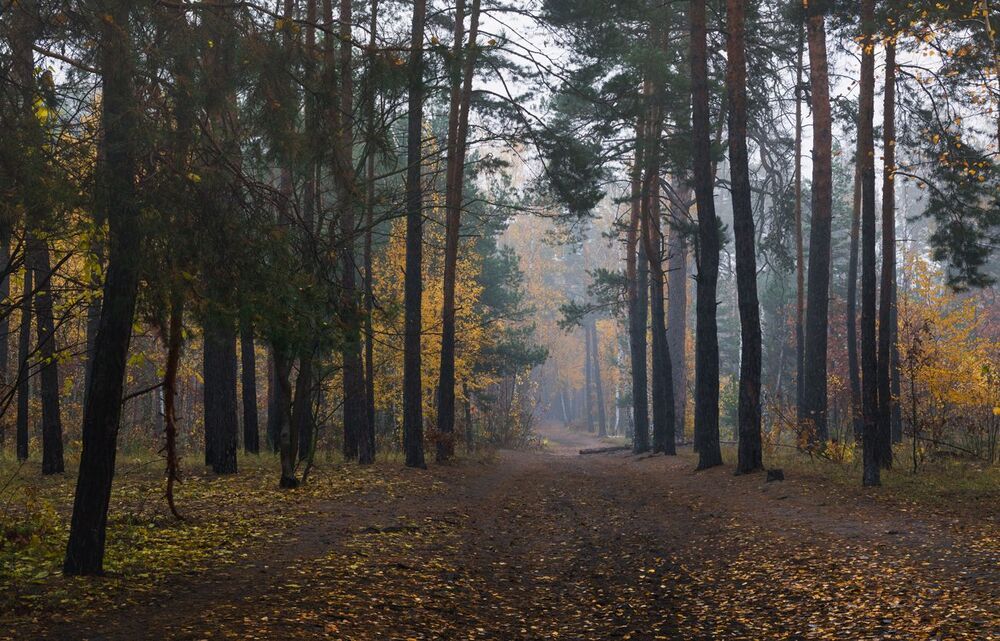 Как жаль, что лето нас бросает
