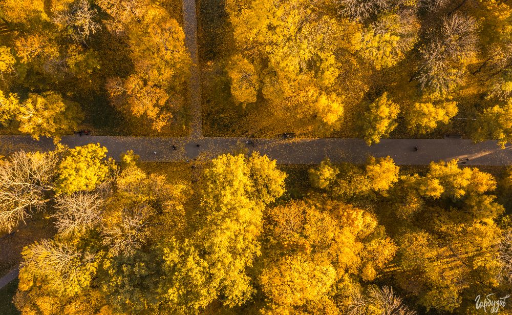 Осенний Богородицк