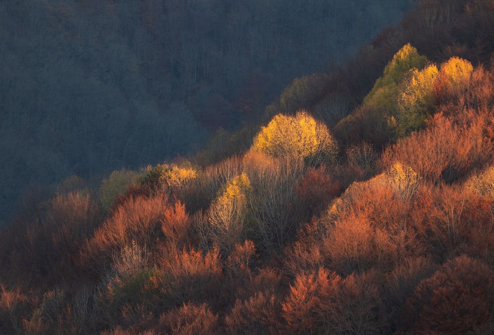 Осенние мотивы...