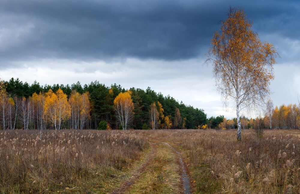 Какое безбрежное небо
