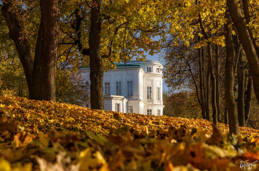 Богородицкий парк осенью
