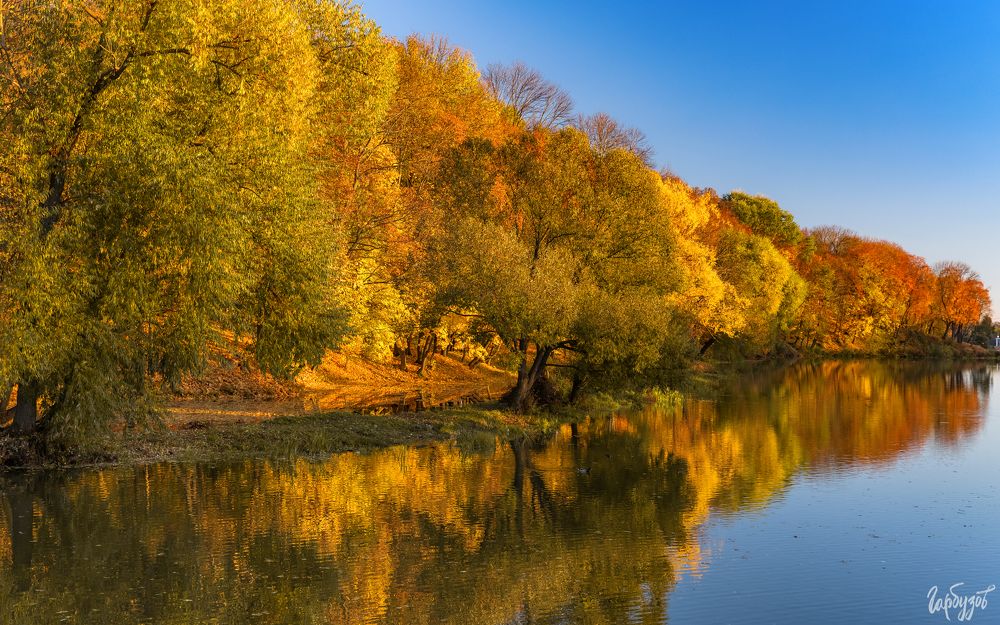 Богородицкий парк осенью