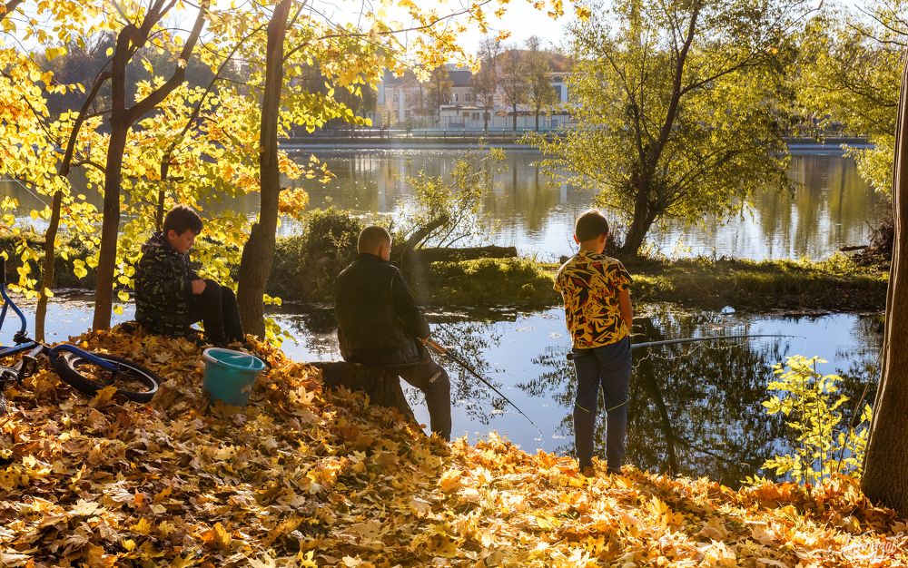 Богородицкий парк осенью