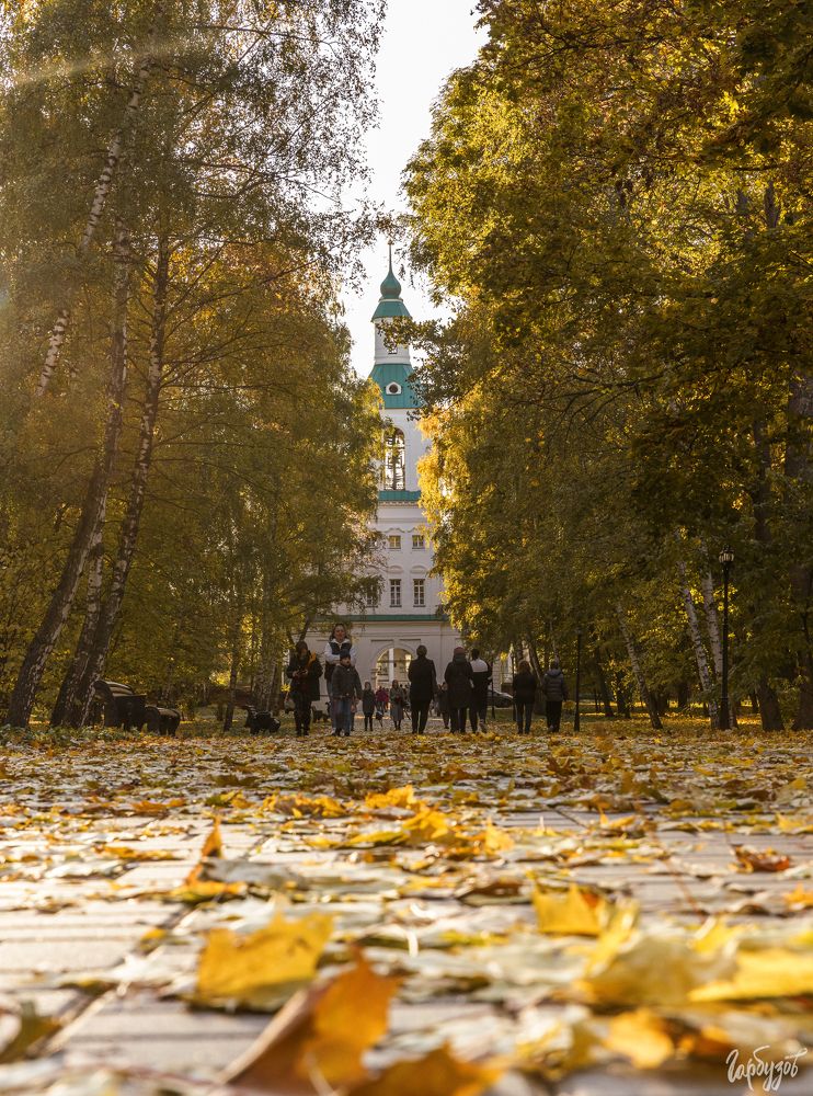 Богородицкий парк осенью
