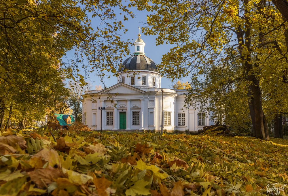 Богородицкий парк осенью