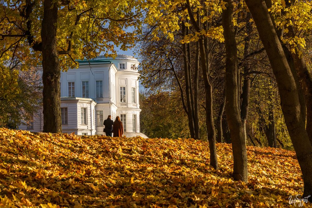 Богородицкий парк осенью