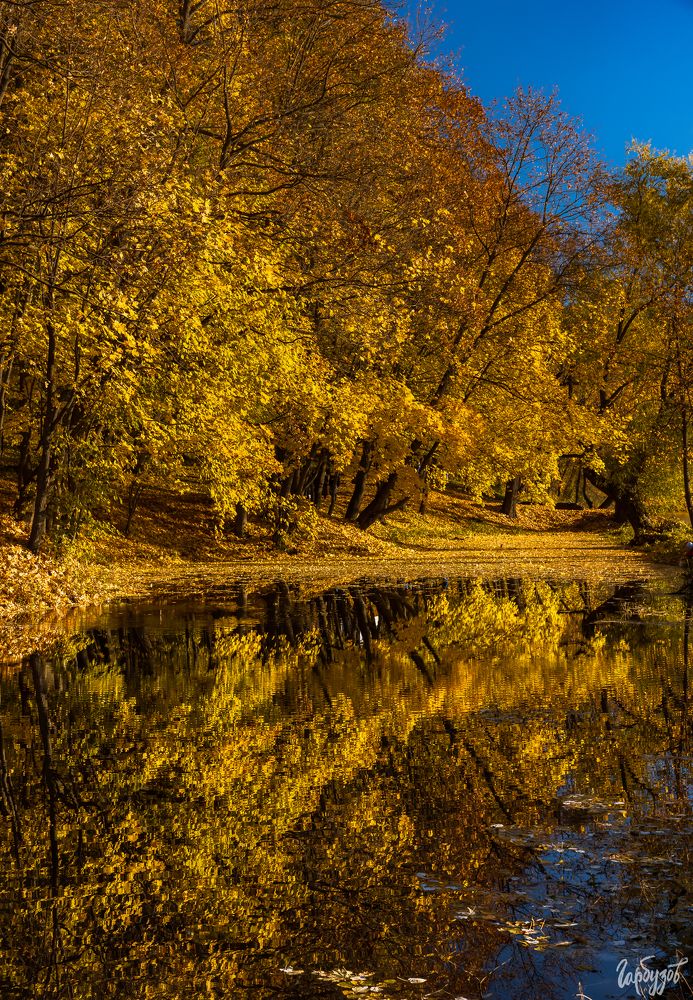Богородицкий парк осенью