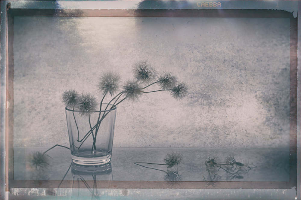 Equanimity