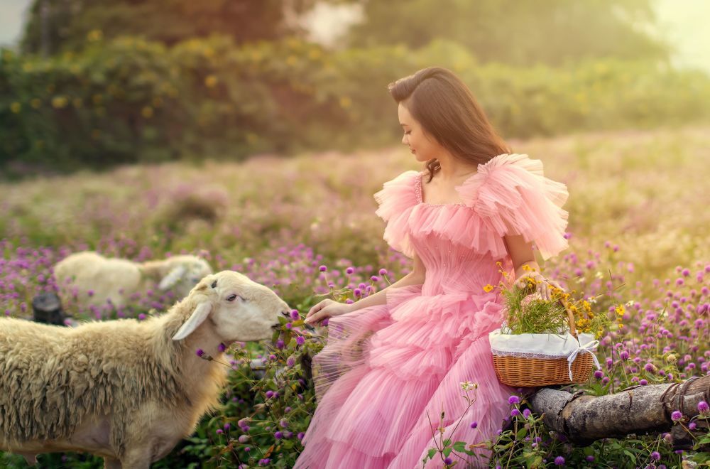 Flower steppe