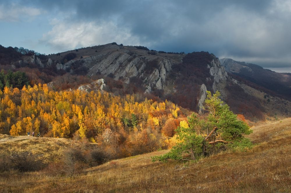 Золото