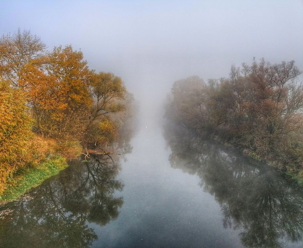 Autumn walk