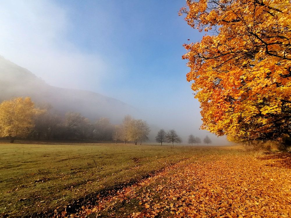 Autumn walk