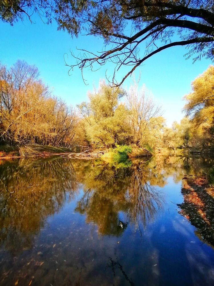 Autumn walk