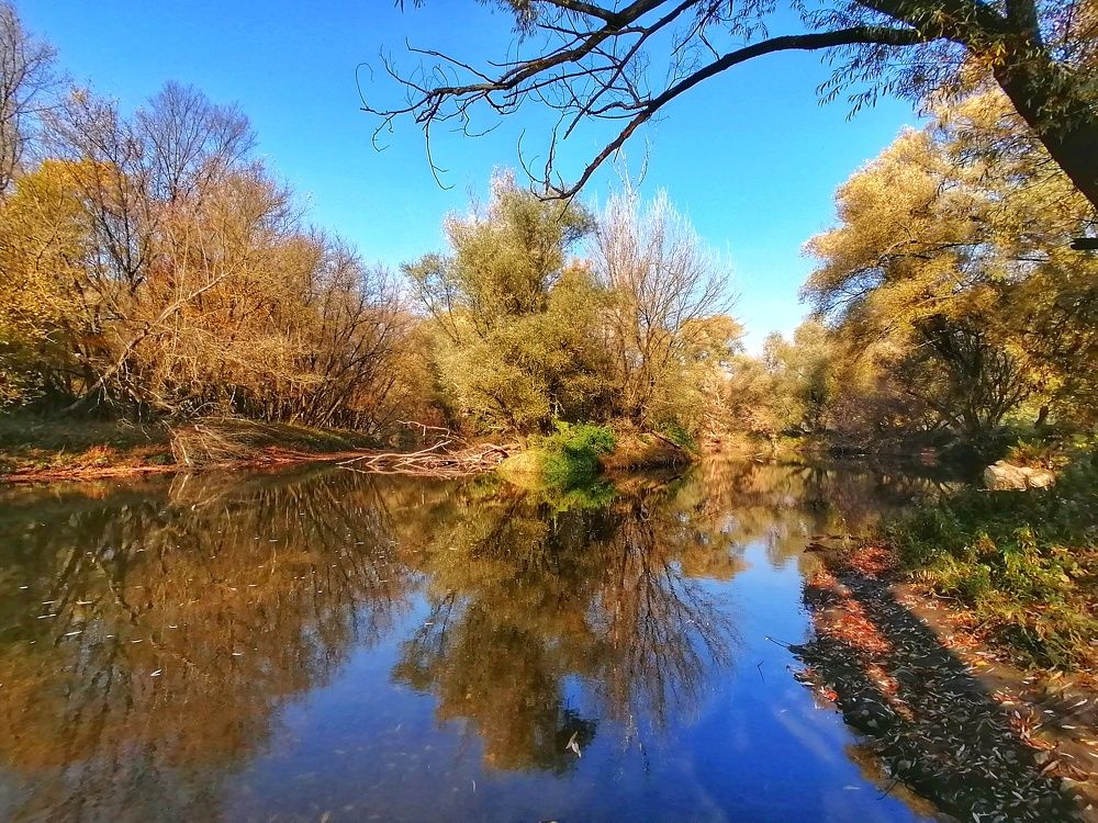 Autumn walk