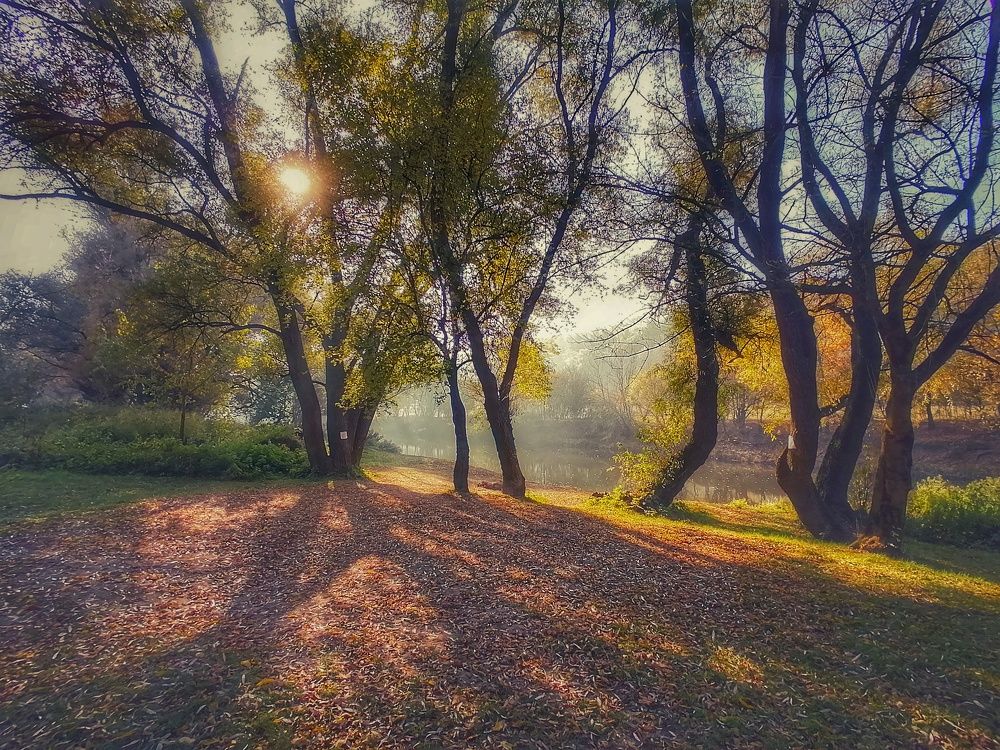 Autumn walk