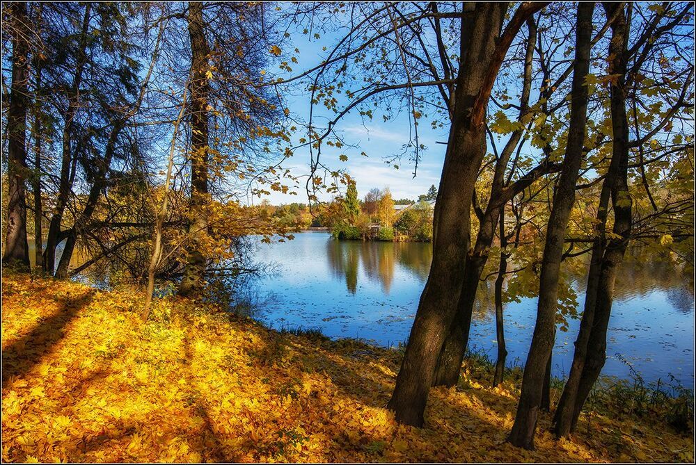 Осенние зарисовки