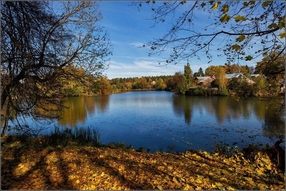 Осенние зарисовки
