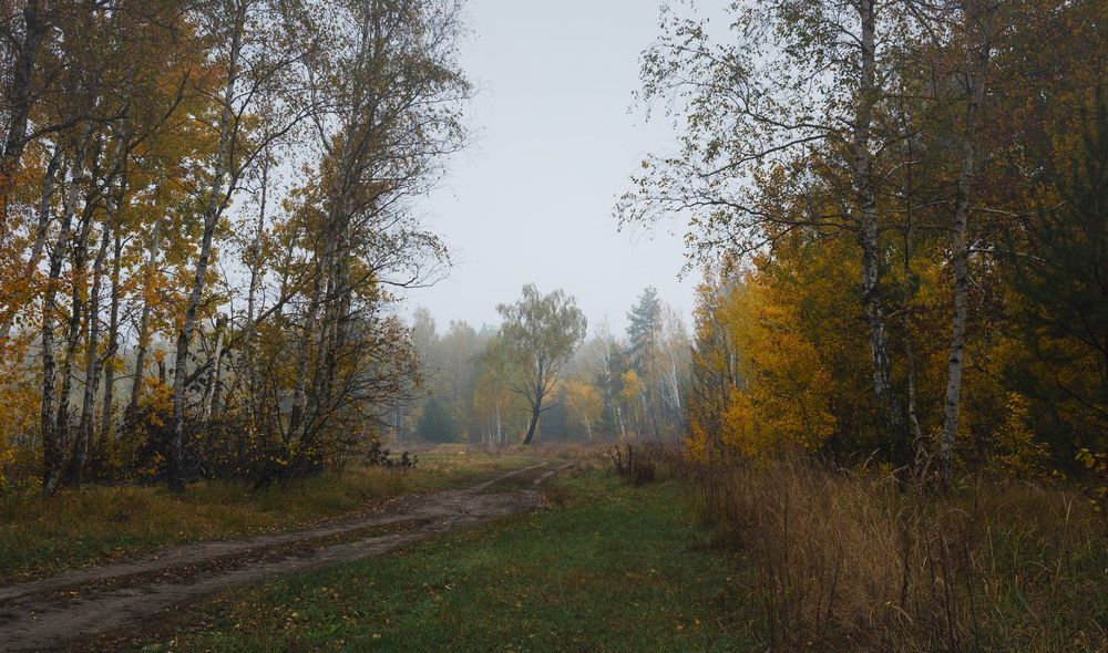 Застыла грусть в рассвете этом