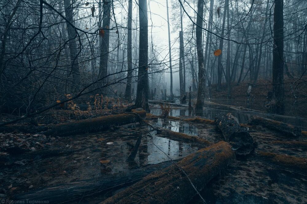 ***