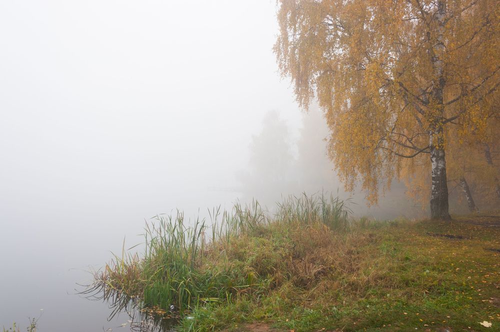 На туманном берегу