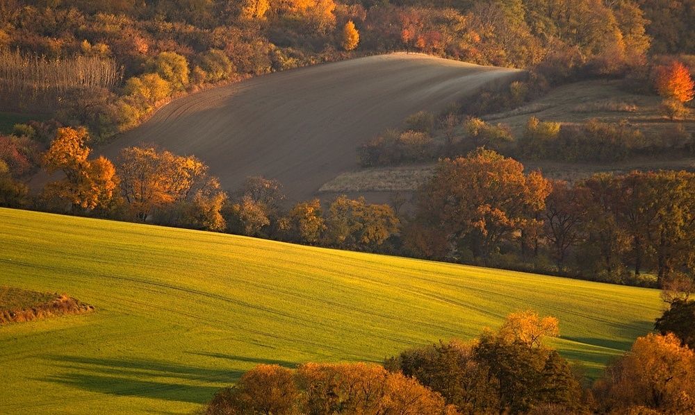 Golden hour