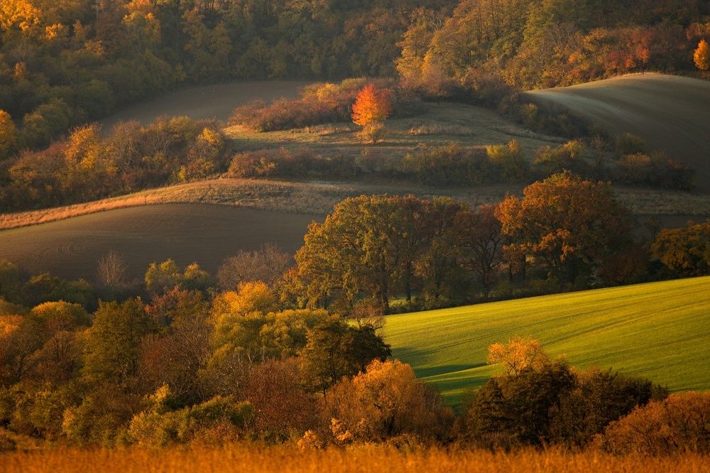 Golden hour