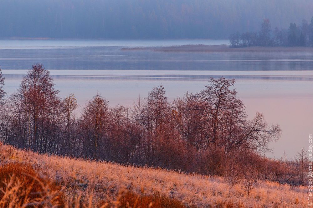 Златый спозаранок