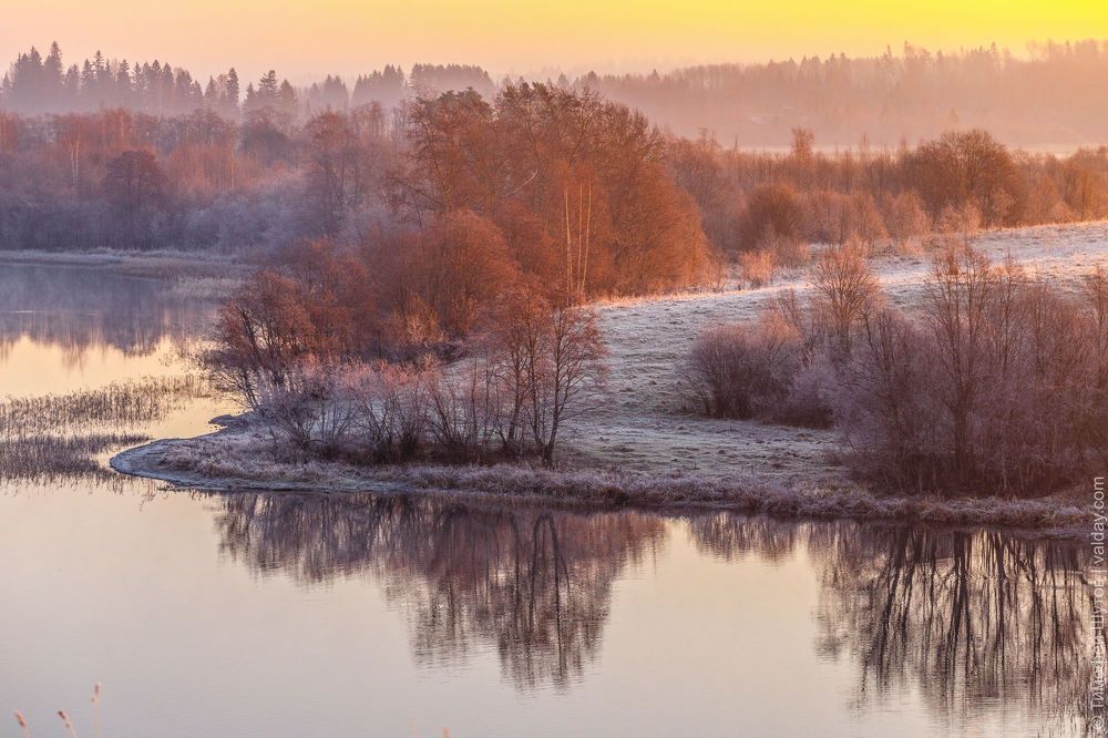 Златый спозаранок