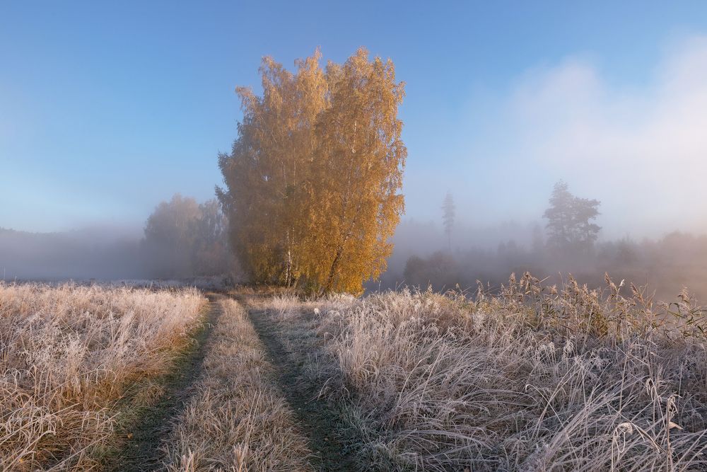 Серебряная осень