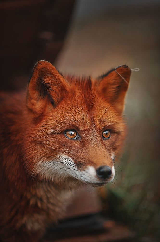 Photo 2034717