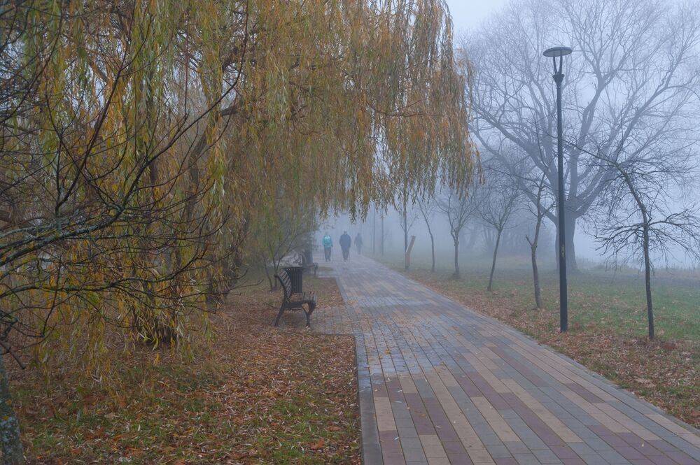 Прогулка по туманному парку