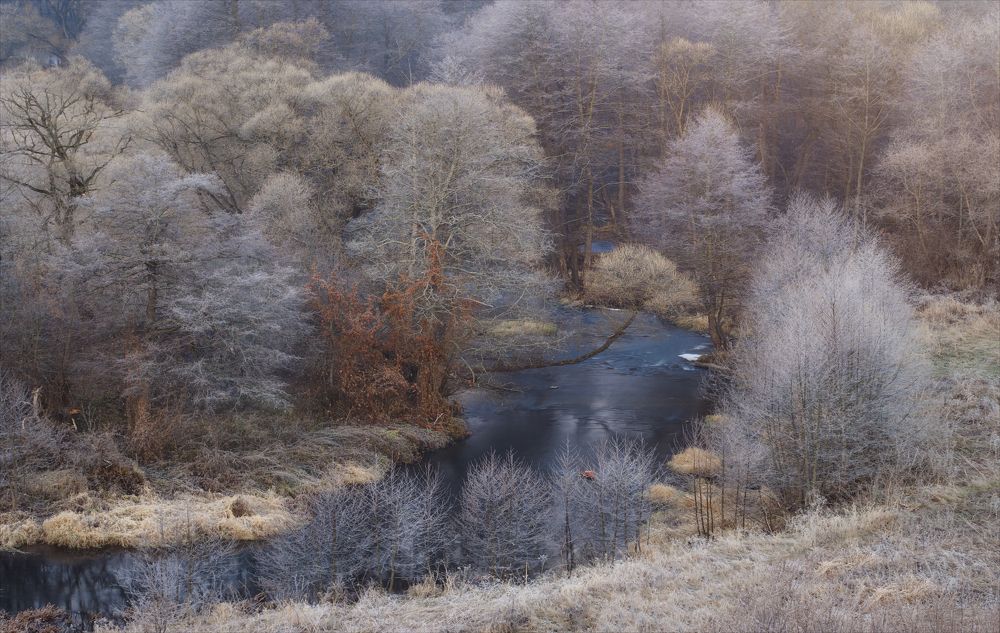 По берегам р.Вашана.