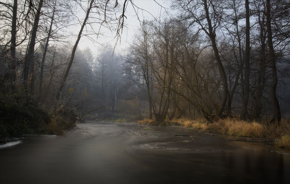 По берегам р.Вашана.